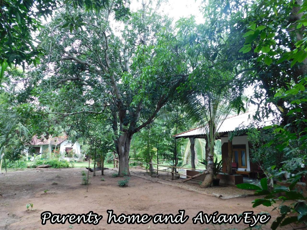 Yala Avian Eye Safari Διαμέρισμα Buttala Εξωτερικό φωτογραφία